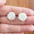 Sand Dollar Studs