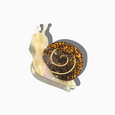 Snail Hair Clip