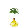 Acorn Vase