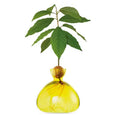 Avocado Vase