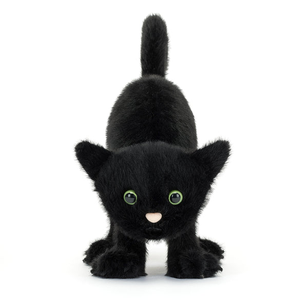 Spookipaws Cat