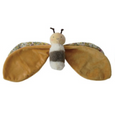 Insect Lovey