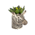 Zebra Mini Pot