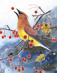 Cedar Waxwing Mini Puzzle