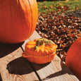 Pumpkin Brie Baker with Leafy Stem Handle