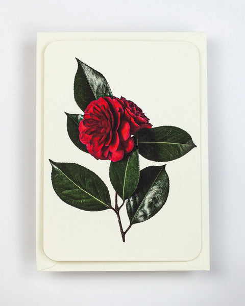 Camellia Card