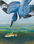 Belted Kingfisher Mini Puzzle