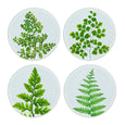 Ferns Glass Coasters