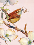 Carolina Wren Puzzle