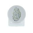 Oysters Glass Coasters