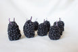 Blackberry Birthday Candle Set
