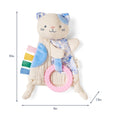Kitty Bitzy Crinkle Toy