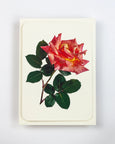 Pink & Yellow Rose Card