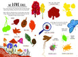 Hello Fall
