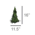 Green Feather Tree