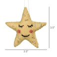 Felt Star Ornament