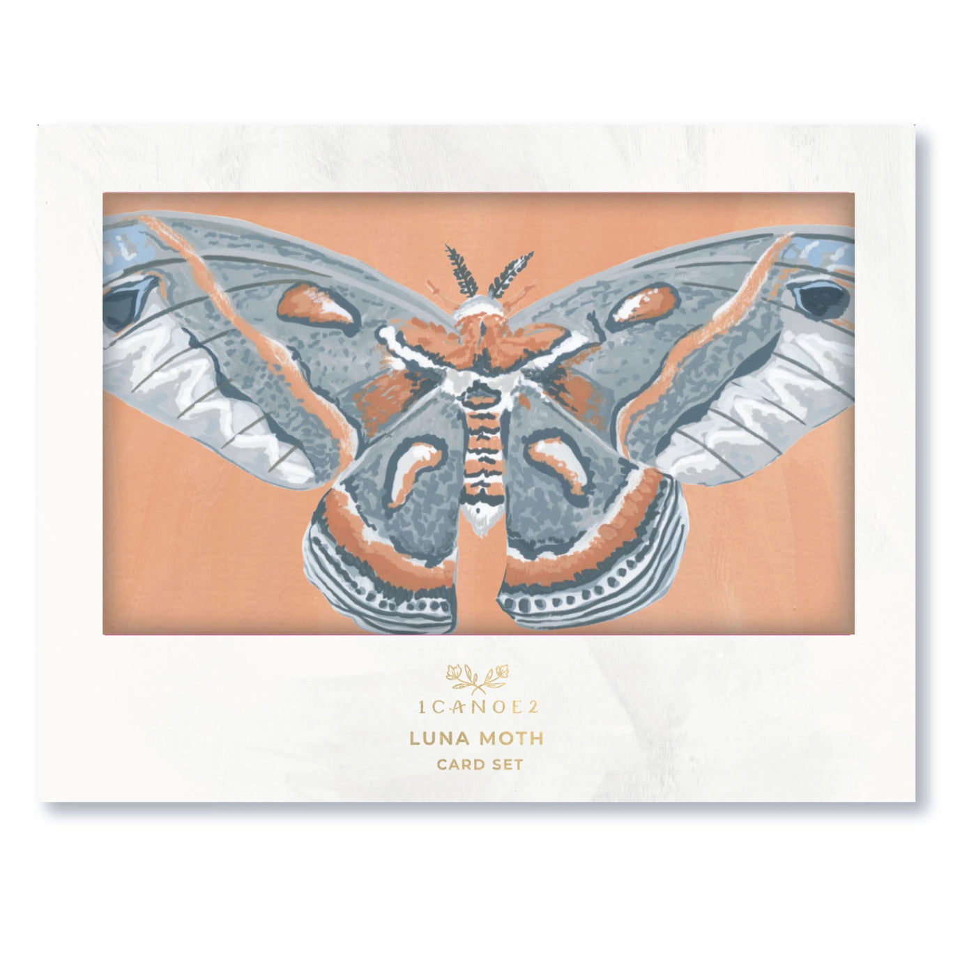 Luna Moth Fold-Out Card Boxed Set