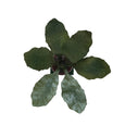 Toleware Beet-Shaped Candleholder