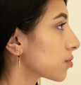 Cowrie Shell Studs