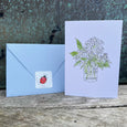 Summer Blooms Mini Note Card Set