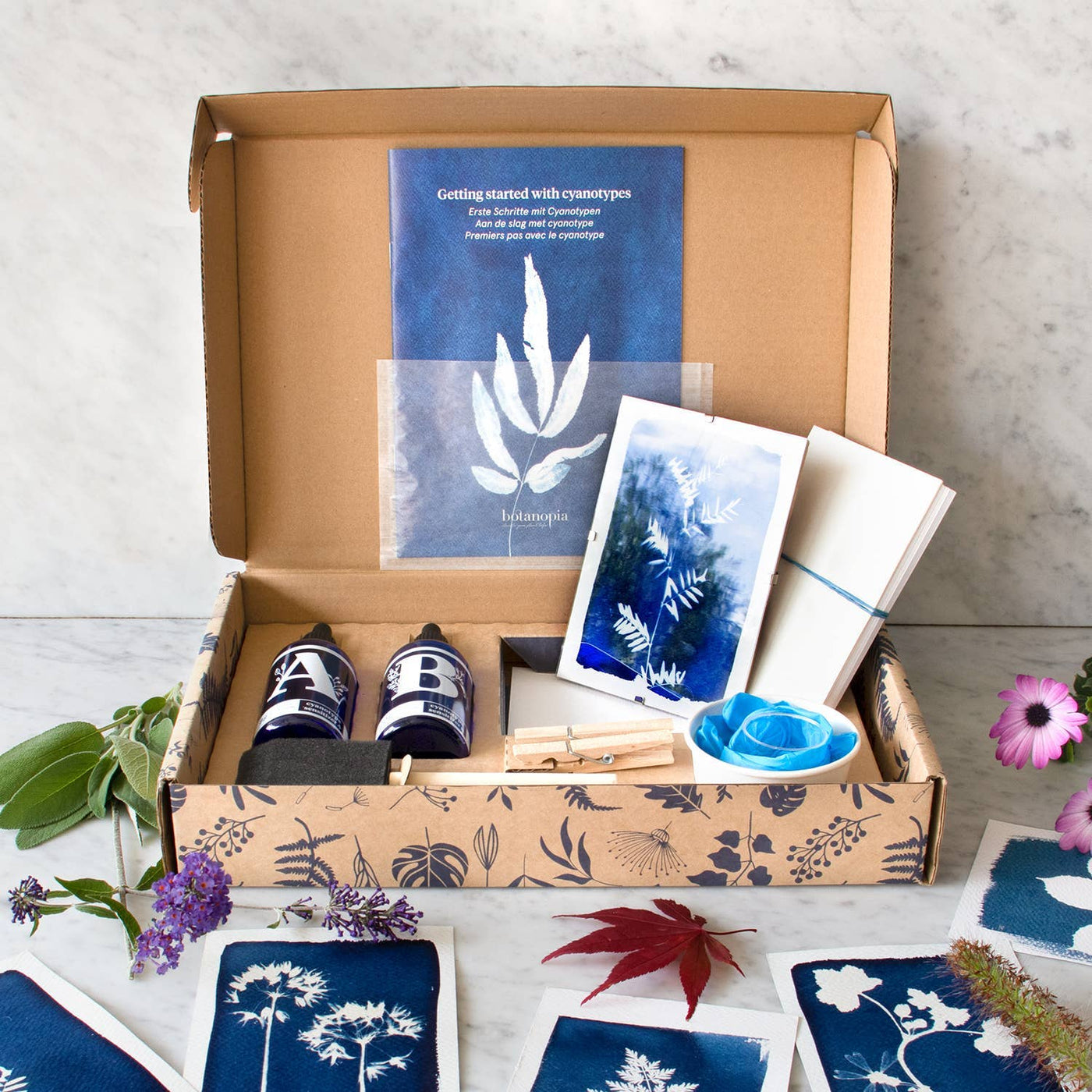Cyanotype Kit