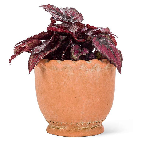 Ruffled Terracotta Planter