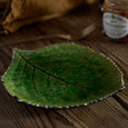 Hydrangea Leaf