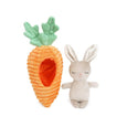 Bunny in Carrot
