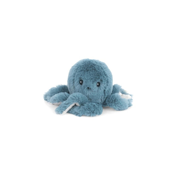 Small Octopus