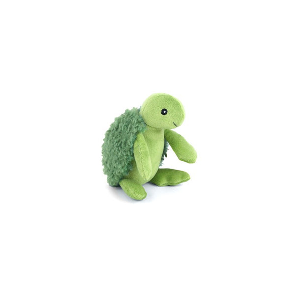 Baby Turtle