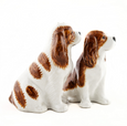 Cavalier King Charles Spaniel Salt & Pepper Set