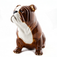 English Bulldog Money Box