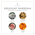 Thymes Goldleaf Gardenia Collection