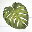 Monstera Leaf Placemats