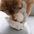 Oyster Dog Toy