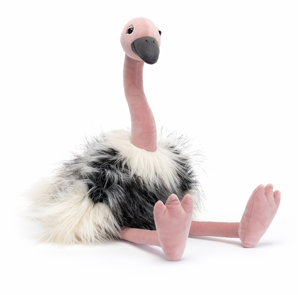 Ramonda Ostrich