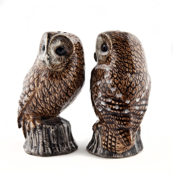 Tawny Owl Salt & Pepper Set