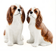Cavalier King Charles Spaniel Salt & Pepper Set