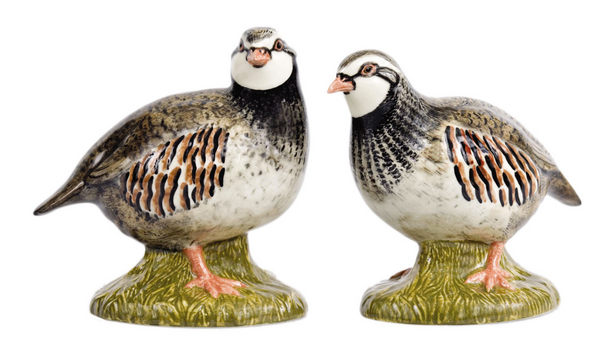 Partridge Salt & Pepper Set