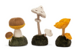 Wild Nature Mushroom
