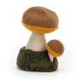 Wild Nature Mushroom